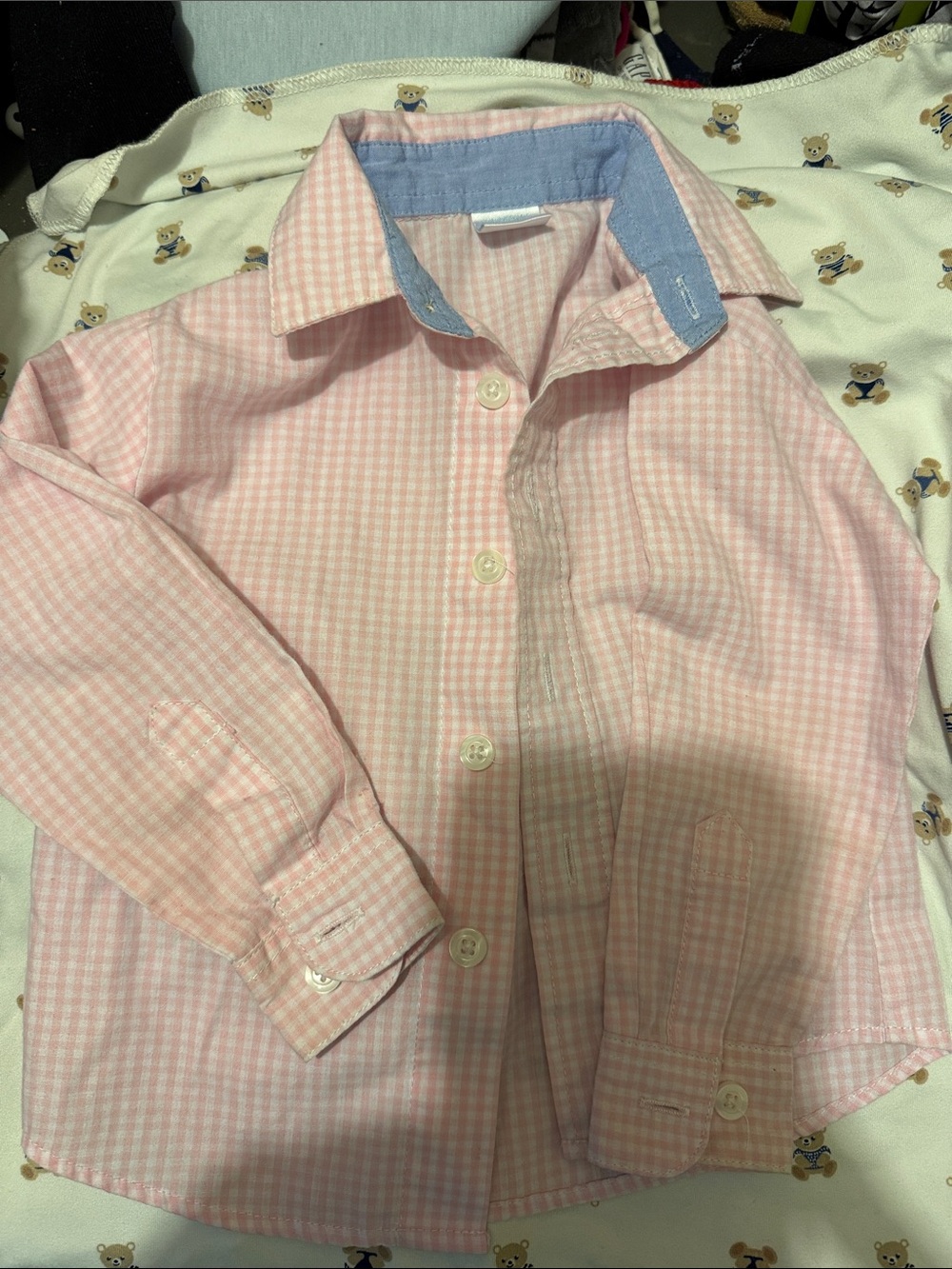 Edgehill Collection Pink Gingham Button-Up Shirt with Blue Collar Trim